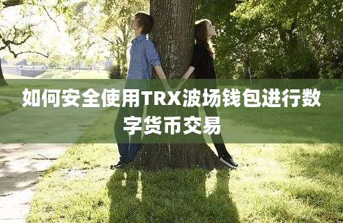 如何安全使用TRX波场钱包进行数字货币交易