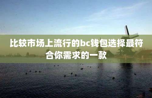 比较市场上流行的bc钱包选择最符合你需求的一款