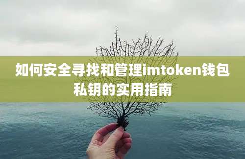 如何安全寻找和管理imtoken钱包私钥的实用指南