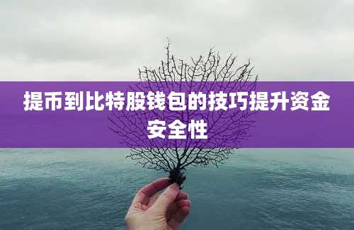 提币到比特股钱包的技巧提升资金安全性