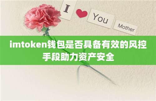 imtoken钱包是否具备有效的风控手段助力资产安全