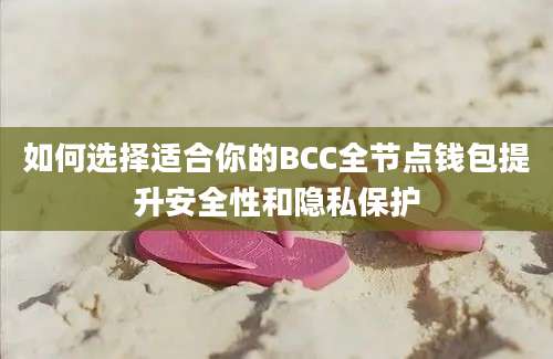 如何选择适合你的BCC全节点钱包提升安全性和隐私保护