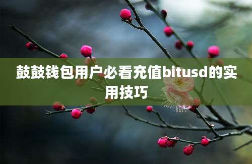 鼓鼓钱包用户必看充值bitusd的实用技巧