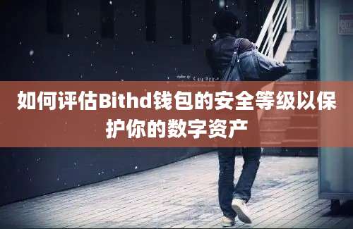 如何评估Bithd钱包的安全等级以保护你的数字资产