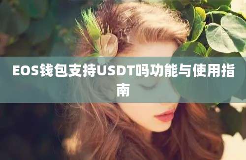 EOS钱包支持USDT吗功能与使用指南