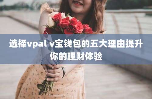 选择vpal v宝钱包的五大理由提升你的理财体验