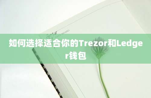 如何选择适合你的Trezor和Ledger钱包