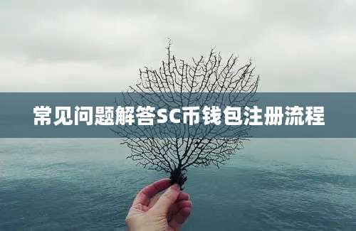 常见问题解答SC币钱包注册流程