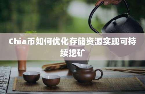 Chia币如何优化存储资源实现可持续挖矿