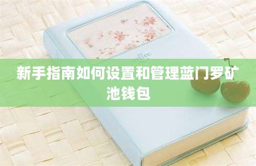 新手指南如何设置和管理蓝门罗矿池钱包