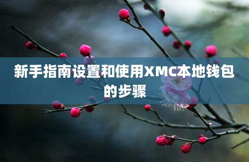 新手指南设置和使用XMC本地钱包的步骤