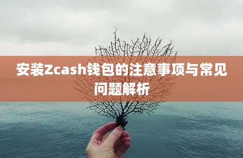 安装Zcash钱包的注意事项与常见问题解析