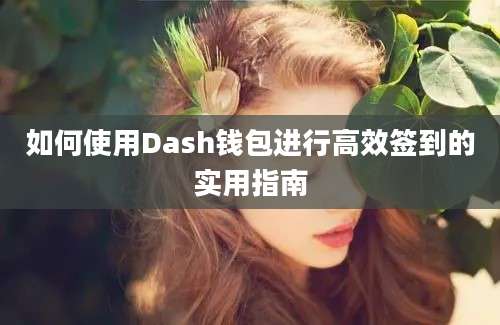 如何使用Dash钱包进行高效签到的实用指南