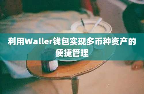 利用Waller钱包实现多币种资产的便捷管理