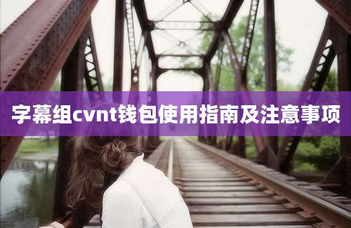 字幕组cvnt钱包使用指南及注意事项