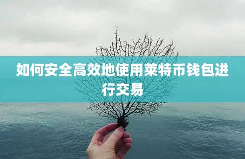 如何安全高效地使用莱特币钱包进行交易