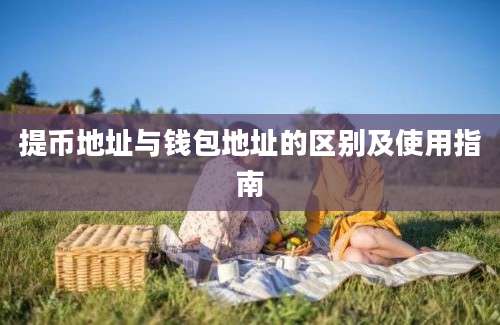 提币地址与钱包地址的区别及使用指南