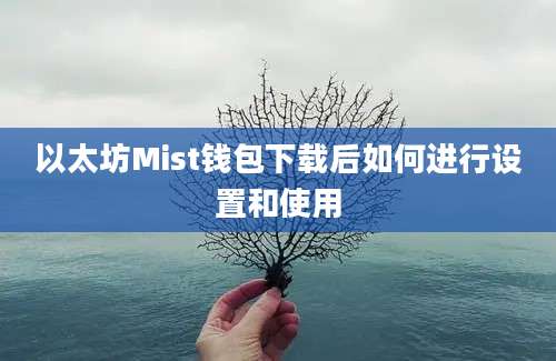 以太坊Mist钱包下载后如何进行设置和使用