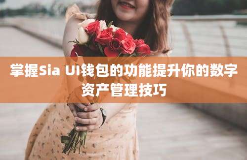 掌握Sia UI钱包的功能提升你的数字资产管理技巧