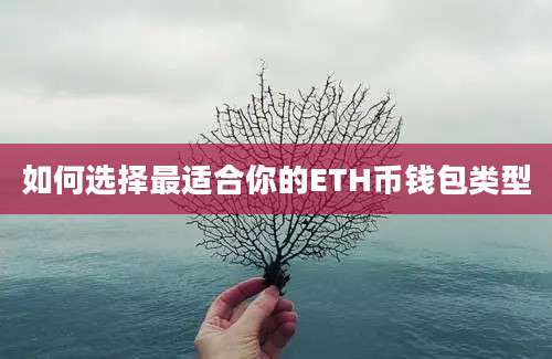 如何选择最适合你的ETH币钱包类型