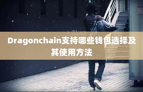 Dragonchain支持哪些钱包选择及其使用方法