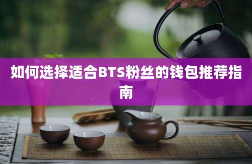 如何选择适合BTS粉丝的钱包推荐指南