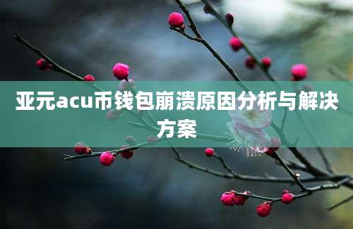 亚元acu币钱包崩溃原因分析与解决方案