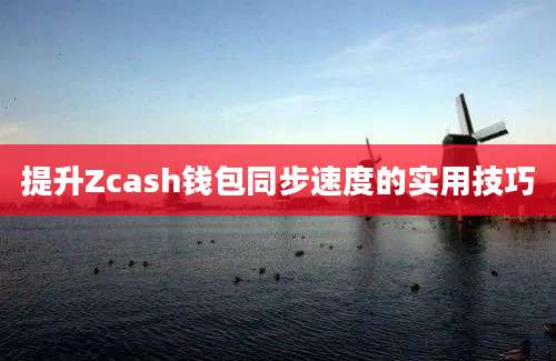 提升Zcash钱包同步速度的实用技巧