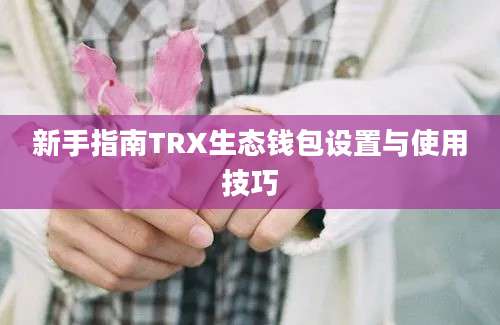 新手指南TRX生态钱包设置与使用技巧