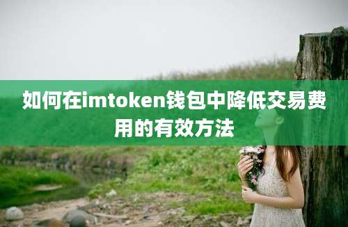 如何在imtoken钱包中降低交易费用的有效方法