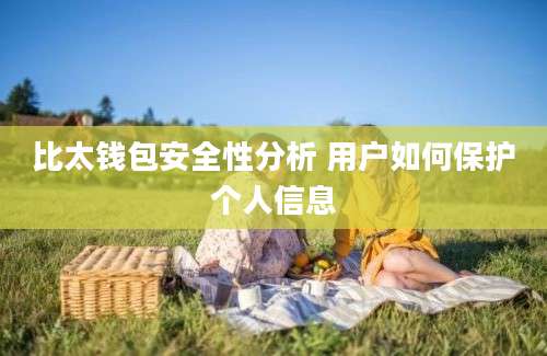 比太钱包安全性分析 用户如何保护个人信息