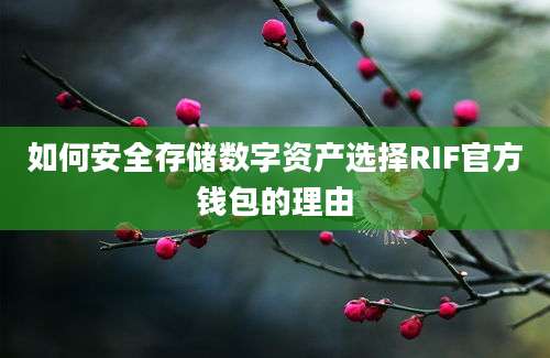 如何安全存储数字资产选择RIF官方钱包的理由