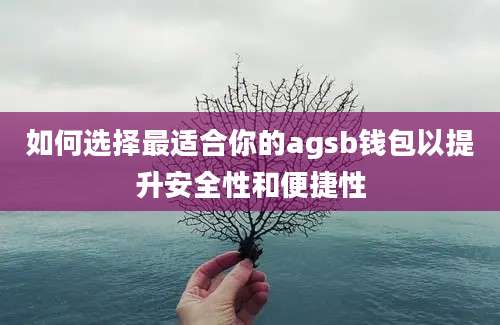 如何选择最适合你的agsb钱包以提升安全性和便捷性