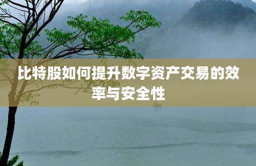 比特股如何提升数字资产交易的效率与安全性