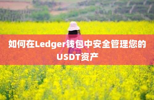 如何在Ledger钱包中安全管理您的USDT资产