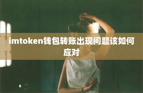 imtoken钱包转账出现问题该如何应对