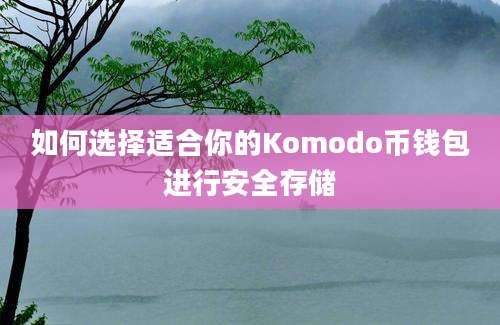 如何选择适合你的Komodo币钱包进行安全存储