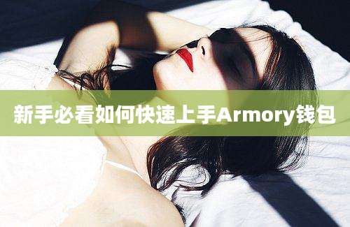 新手必看如何快速上手Armory钱包