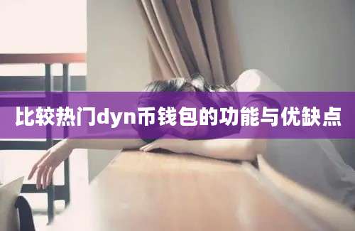 比较热门dyn币钱包的功能与优缺点