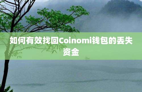 如何有效找回Coinomi钱包的丢失资金