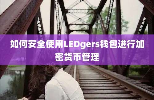 如何安全使用LEDgers钱包进行加密货币管理