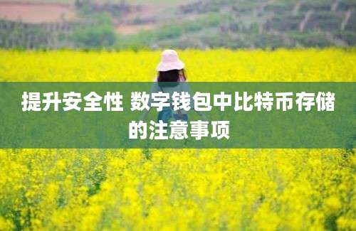 提升安全性 数字钱包中比特币存储的注意事项