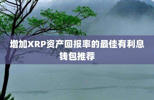 增加XRP资产回报率的最佳有利息钱包推荐