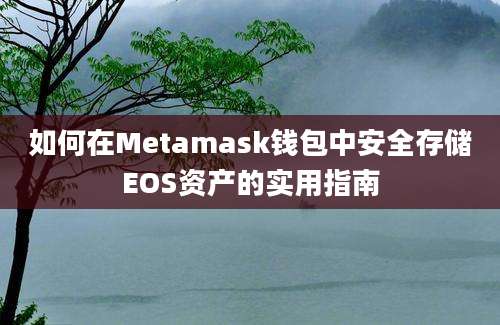 如何在Metamask钱包中安全存储EOS资产的实用指南