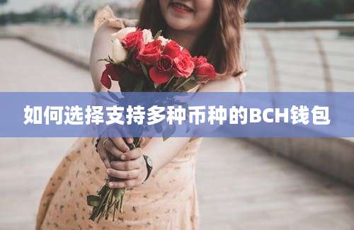 如何选择支持多种币种的BCH钱包