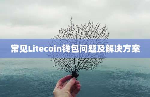 常见Litecoin钱包问题及解决方案