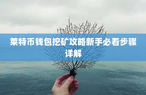 莱特币钱包挖矿攻略新手必看步骤详解