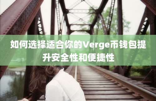 如何选择适合你的Verge币钱包提升安全性和便捷性