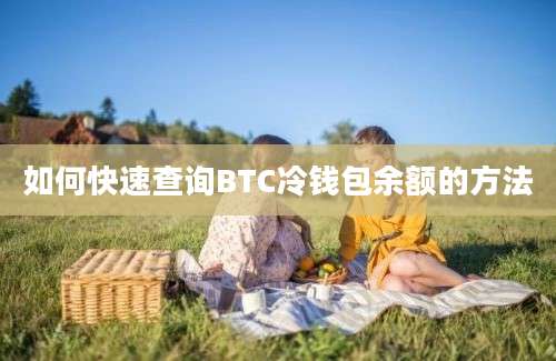 如何快速查询BTC冷钱包余额的方法