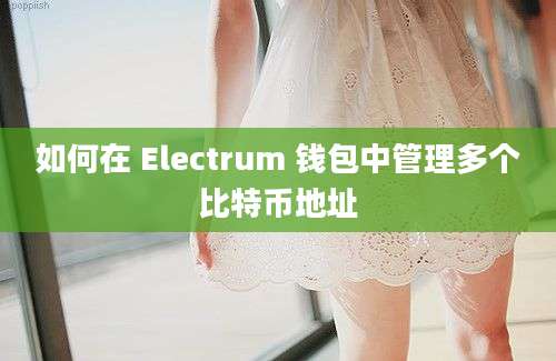 如何在 Electrum 钱包中管理多个比特币地址